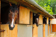 free Birkett Mire stable construction quotes
